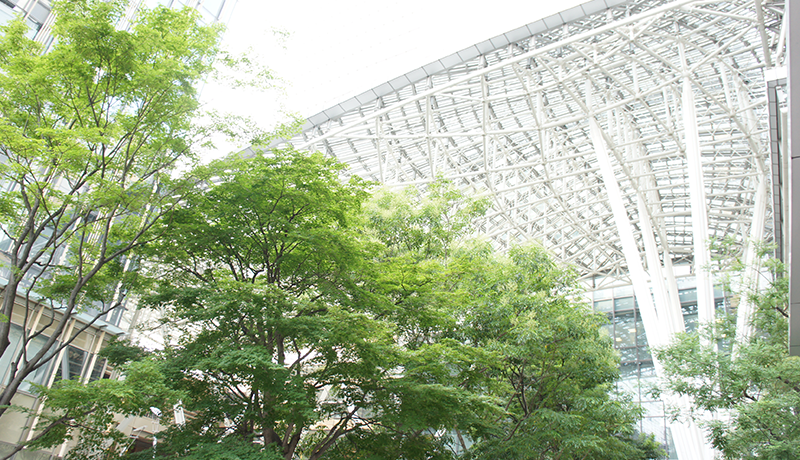 利发最新官网手机版登录线路 ご心配なく